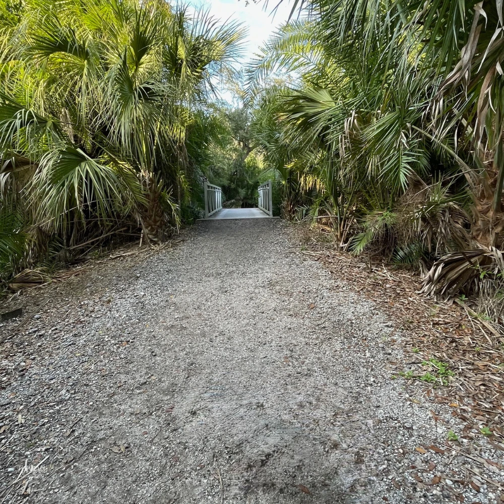 Website home pg bhs author jordan blake oys website behind the scenes out in nature park image