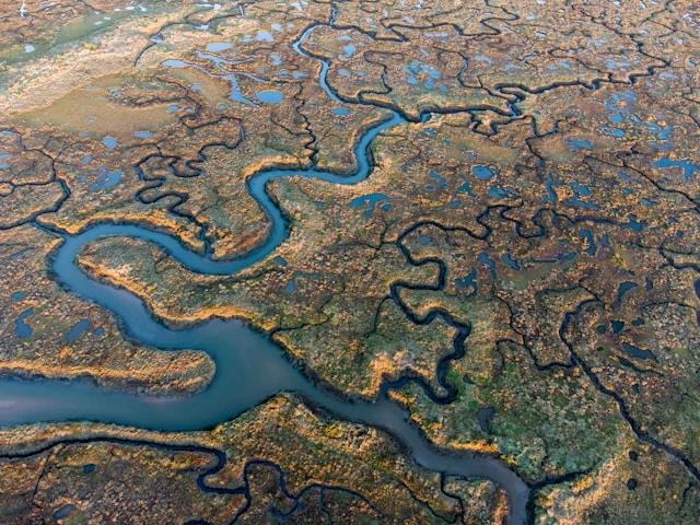 Mission & Perspective network of tributaries and rivers